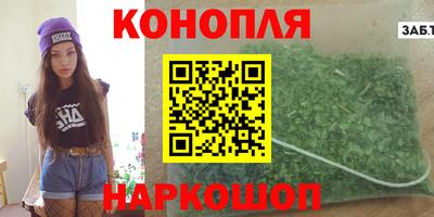 сатива Новоалександровск