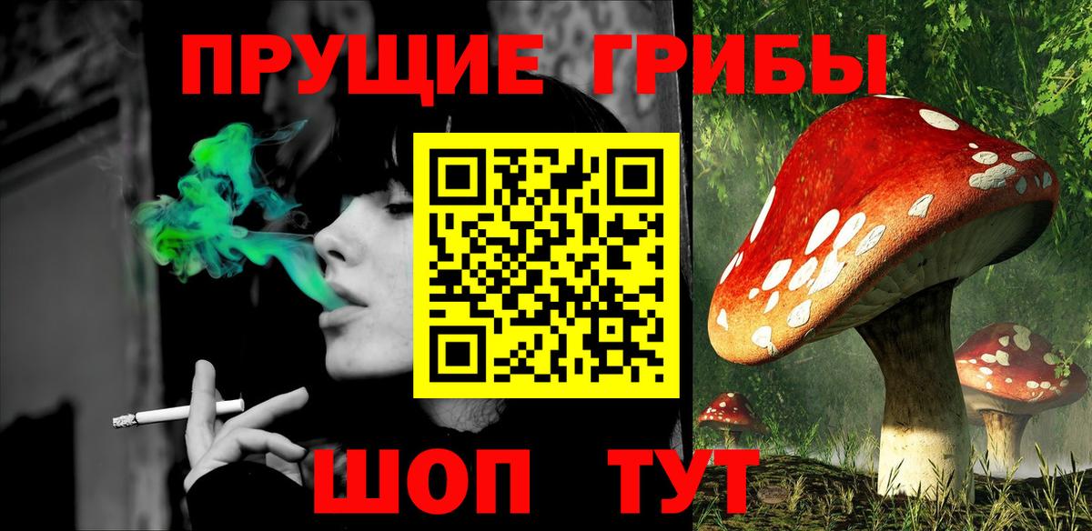 Псилоцибиновые грибы Psilocybe  Вход с VPN  купить наркотики сайты  Кыштым 